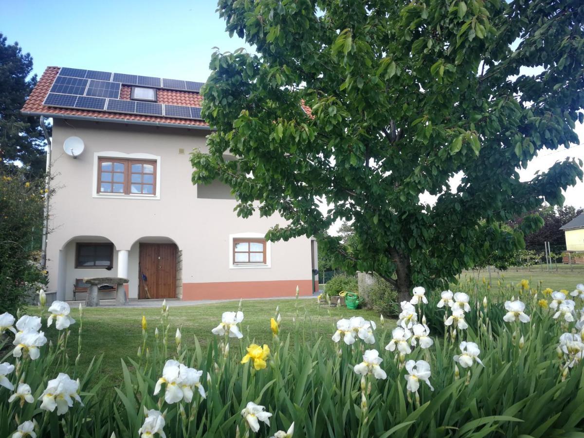 Bottyahat Guesthouse Rezi エクステリア 写真